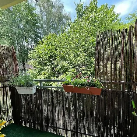 Apartament Zielony *